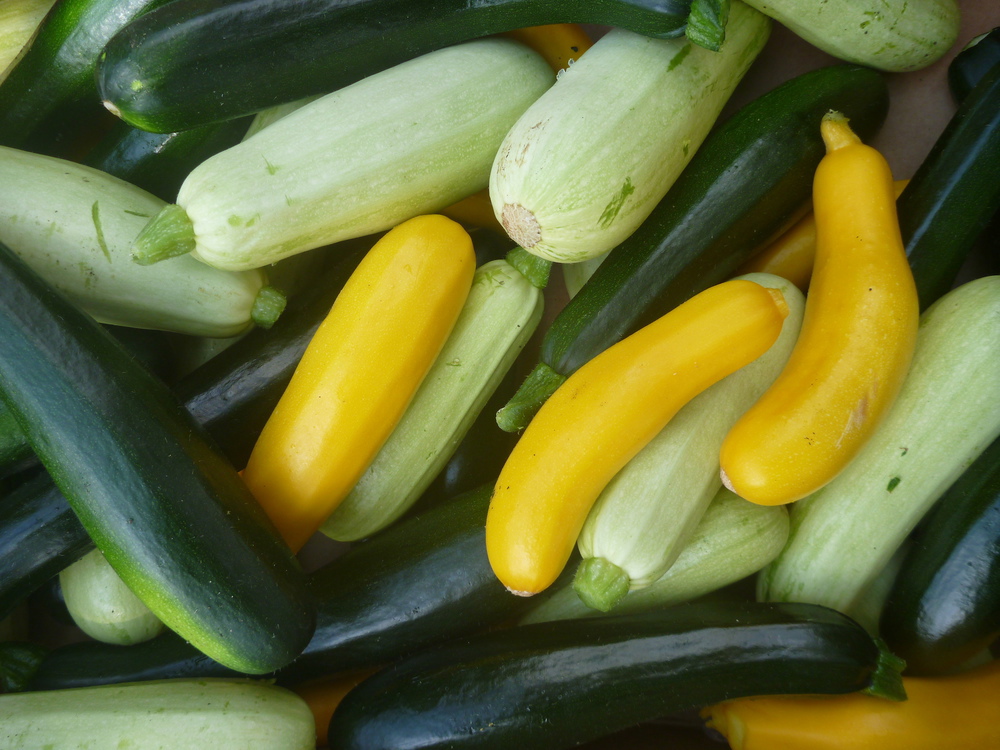Courgettes, mixed colours - 500g