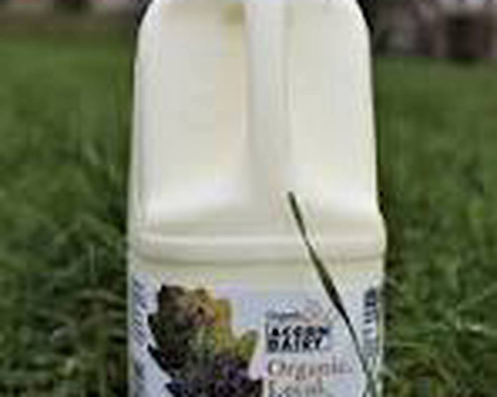 DAIRY MILK WHOLE ORGANIC