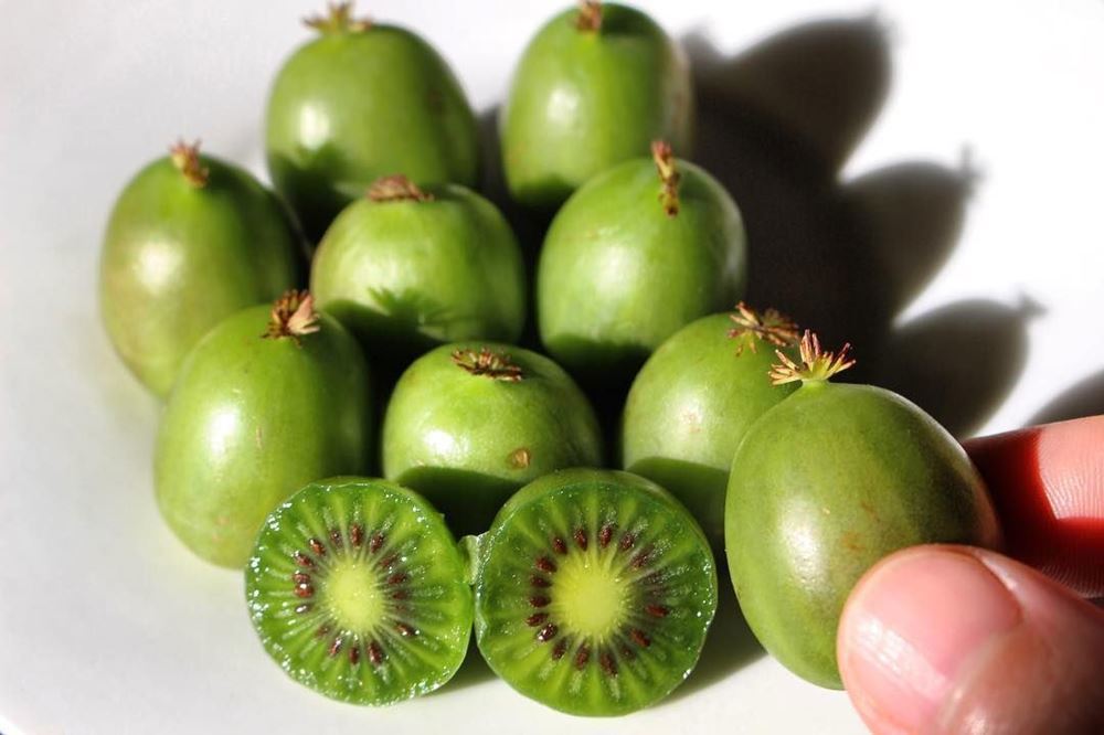 Kiwiberry