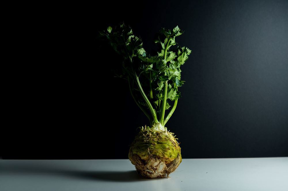 Celeriac