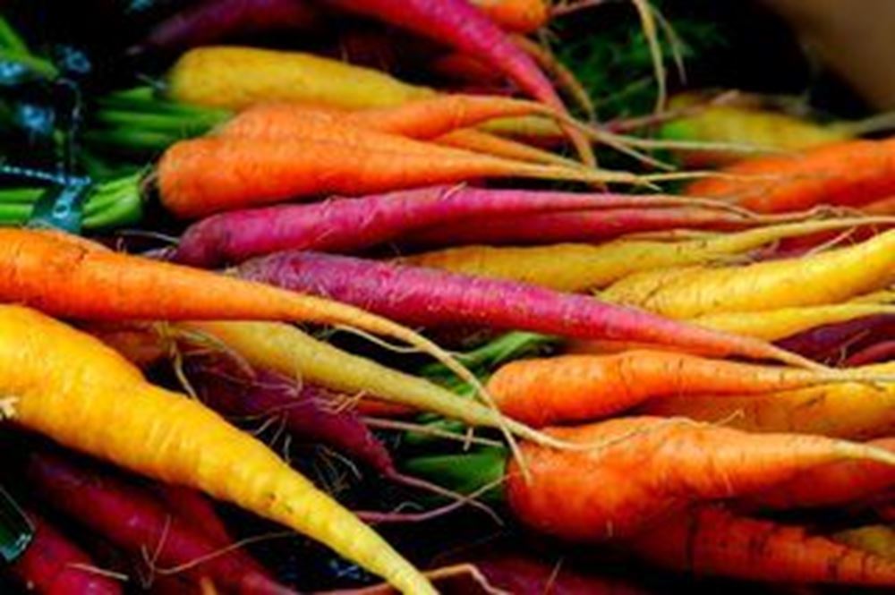 Carrot: Rainbow