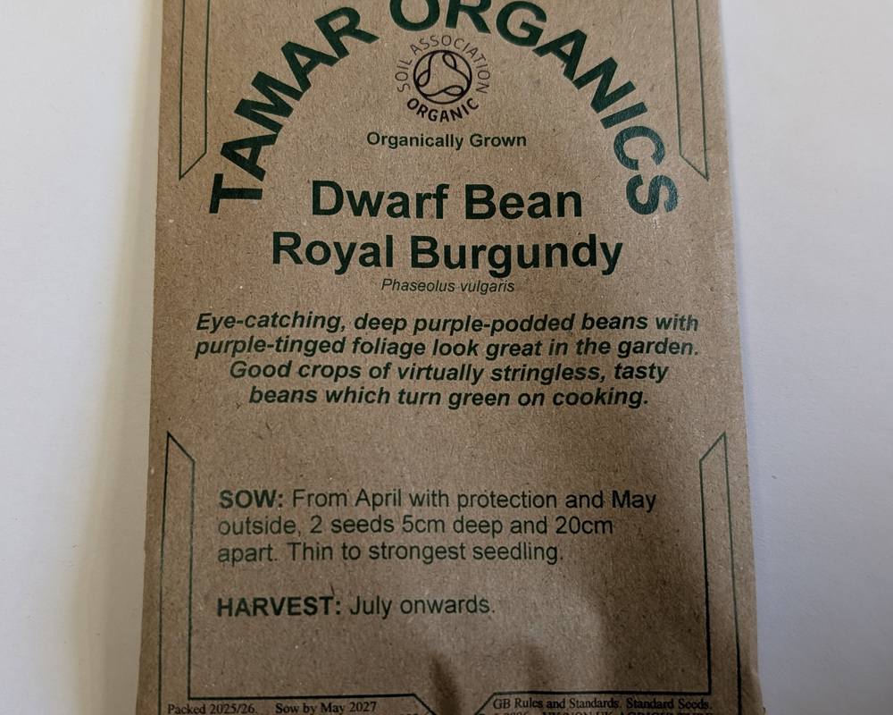 (Seeds) Dwarf Bean - Royal Burgandy