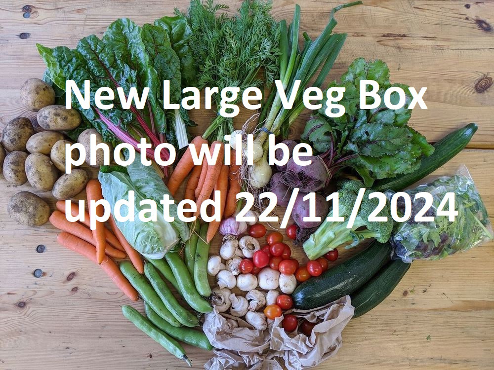 The Original Veg Box Large