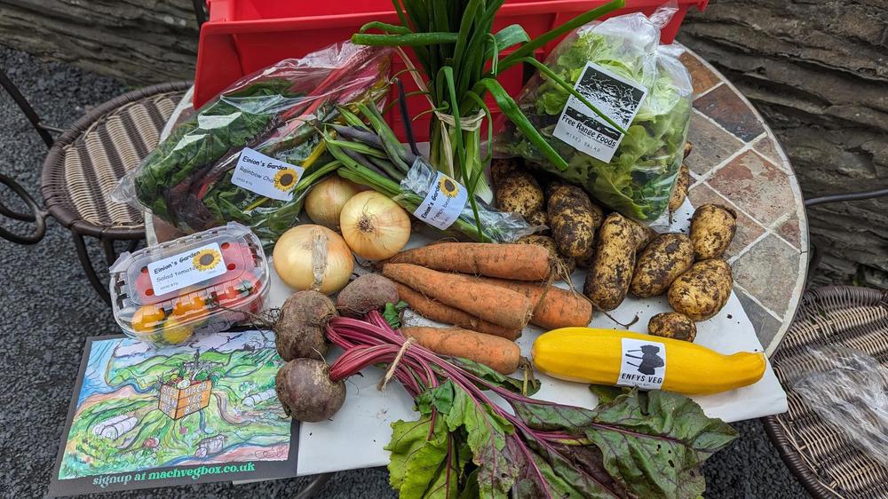 Large Vegbox