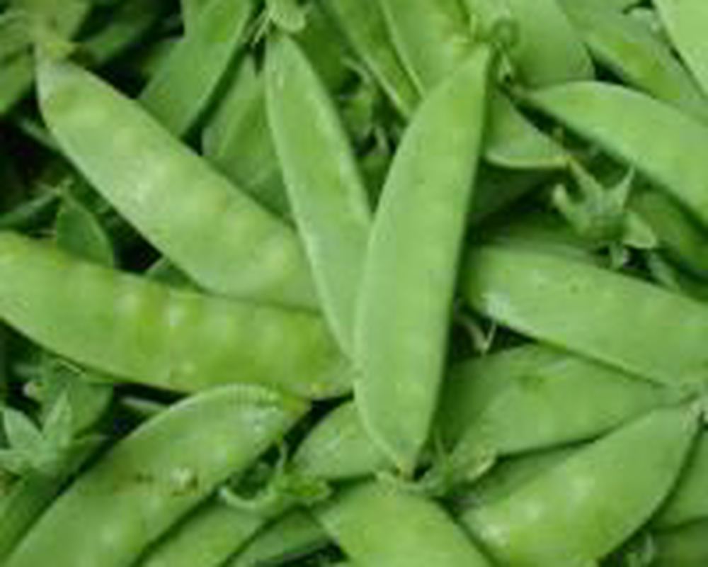 Peas - Mangetout 150g