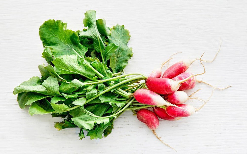 Radish French Breakfast Bunch