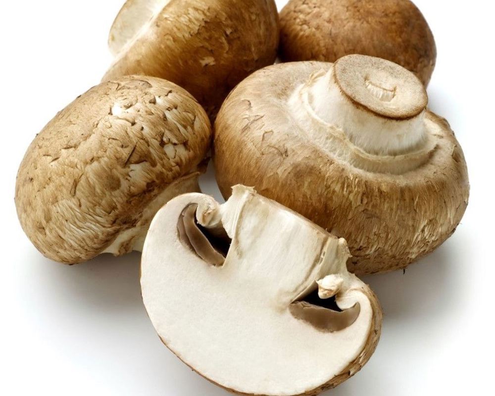 Mushrooms Organic