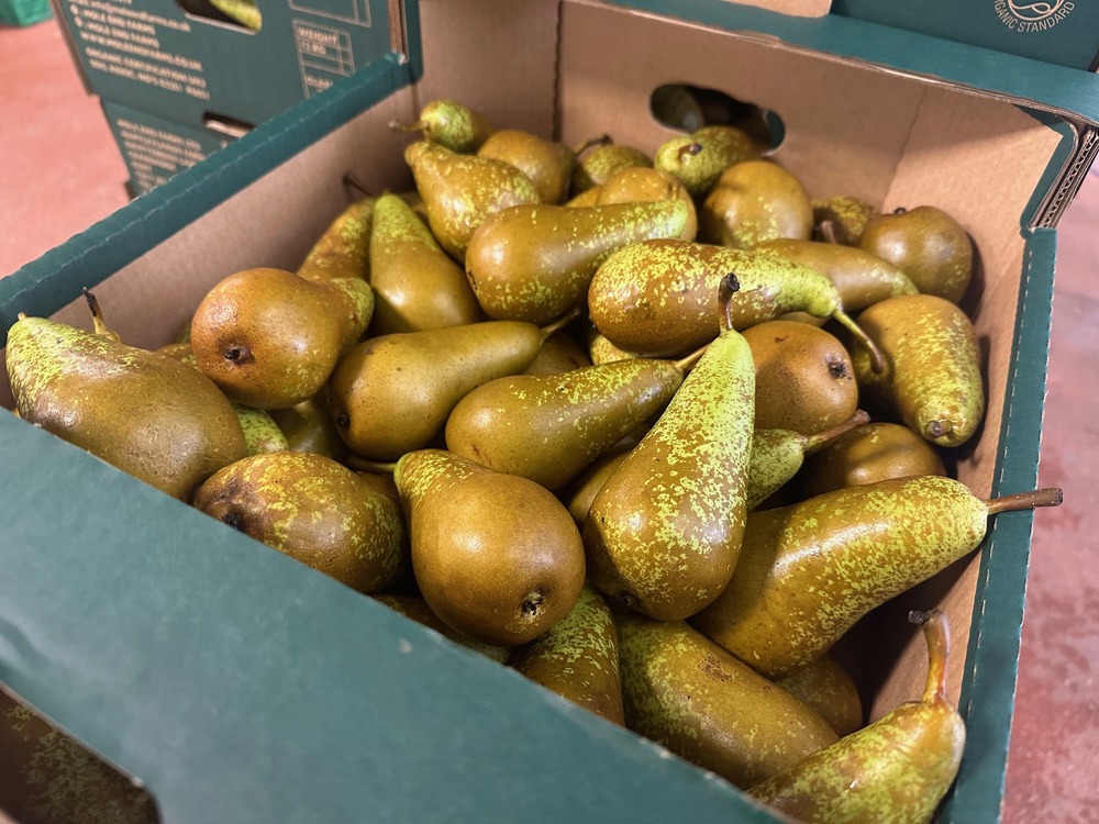 Organic Comice pears