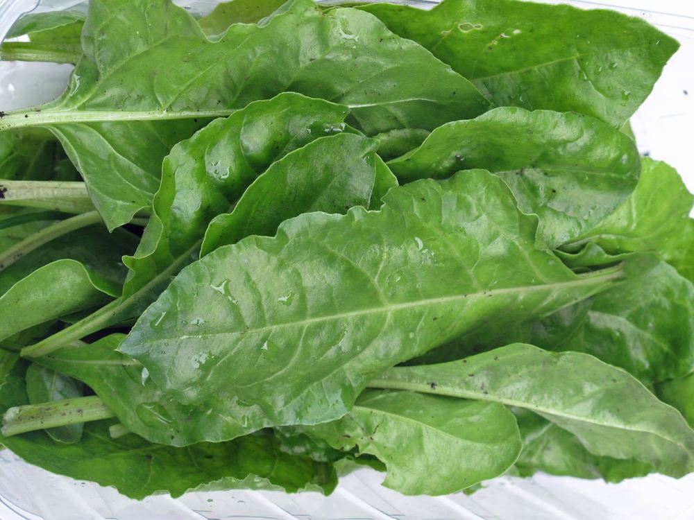 Spinach: Perpetual