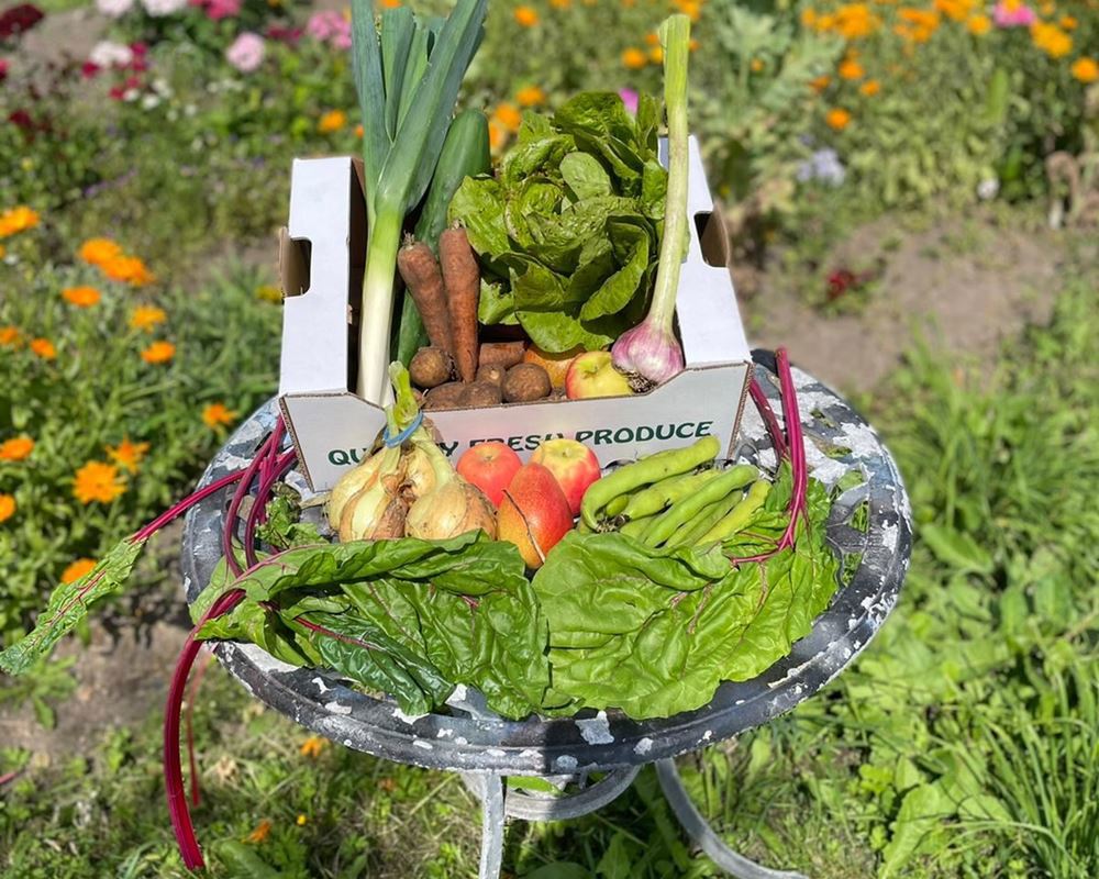 Veg & Fruit & Salad box - Medium