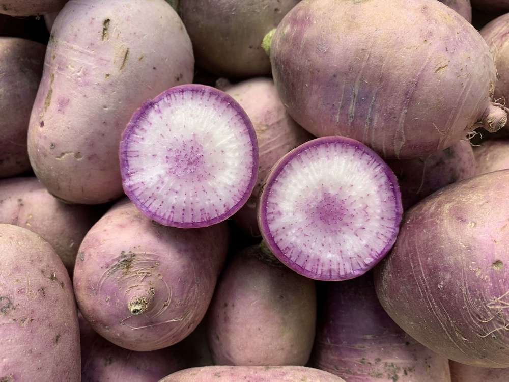 Organic Radish Blue Meat