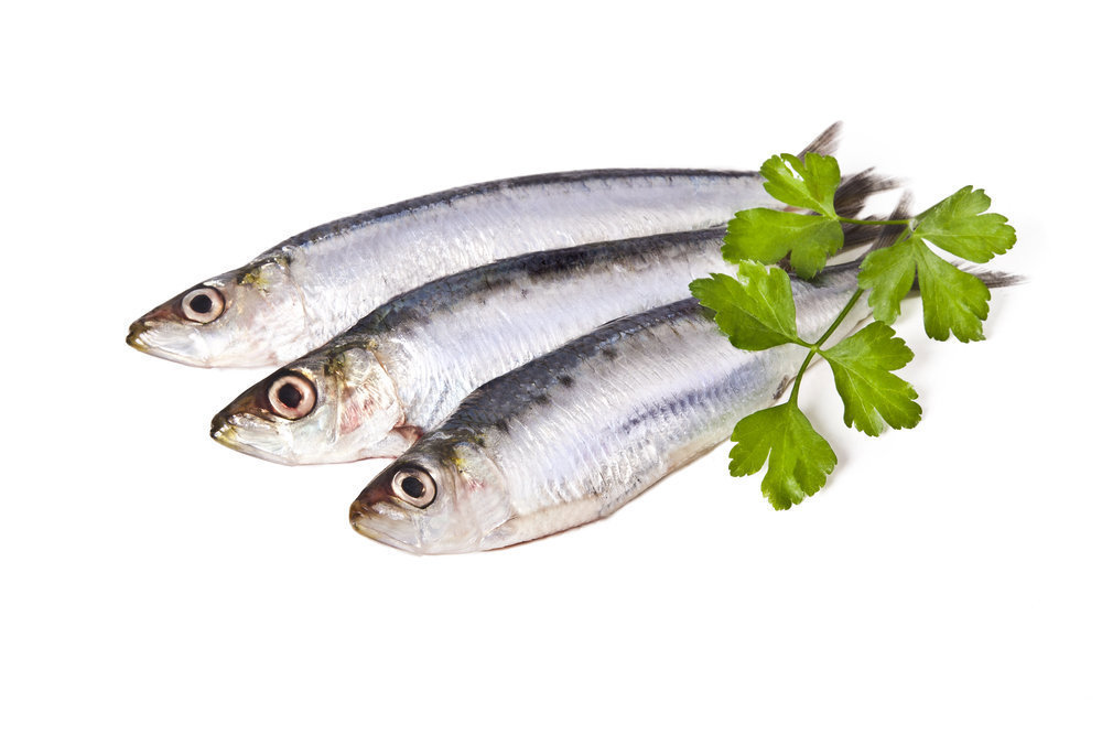 Sardine 1kg