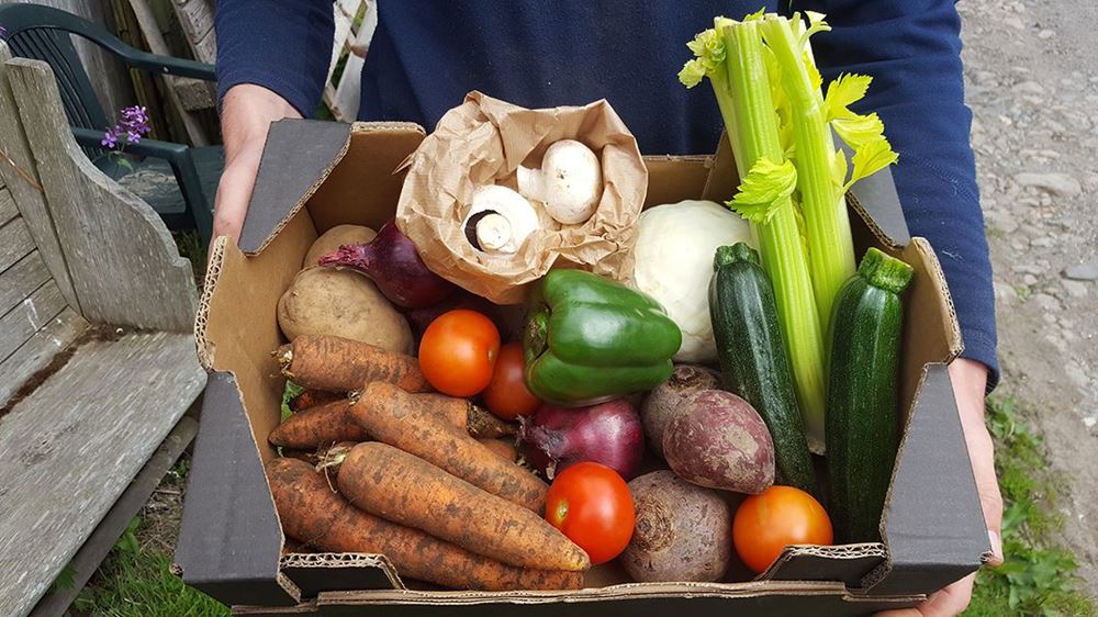 Large Organic Veg Box