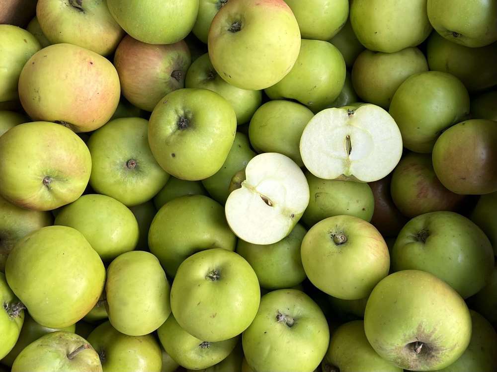 Apples - Bramley - (Kent, UK)