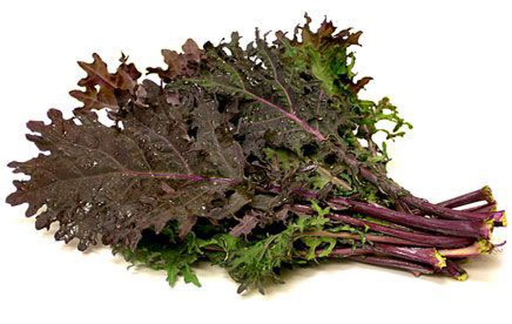 Kale: Red Russian