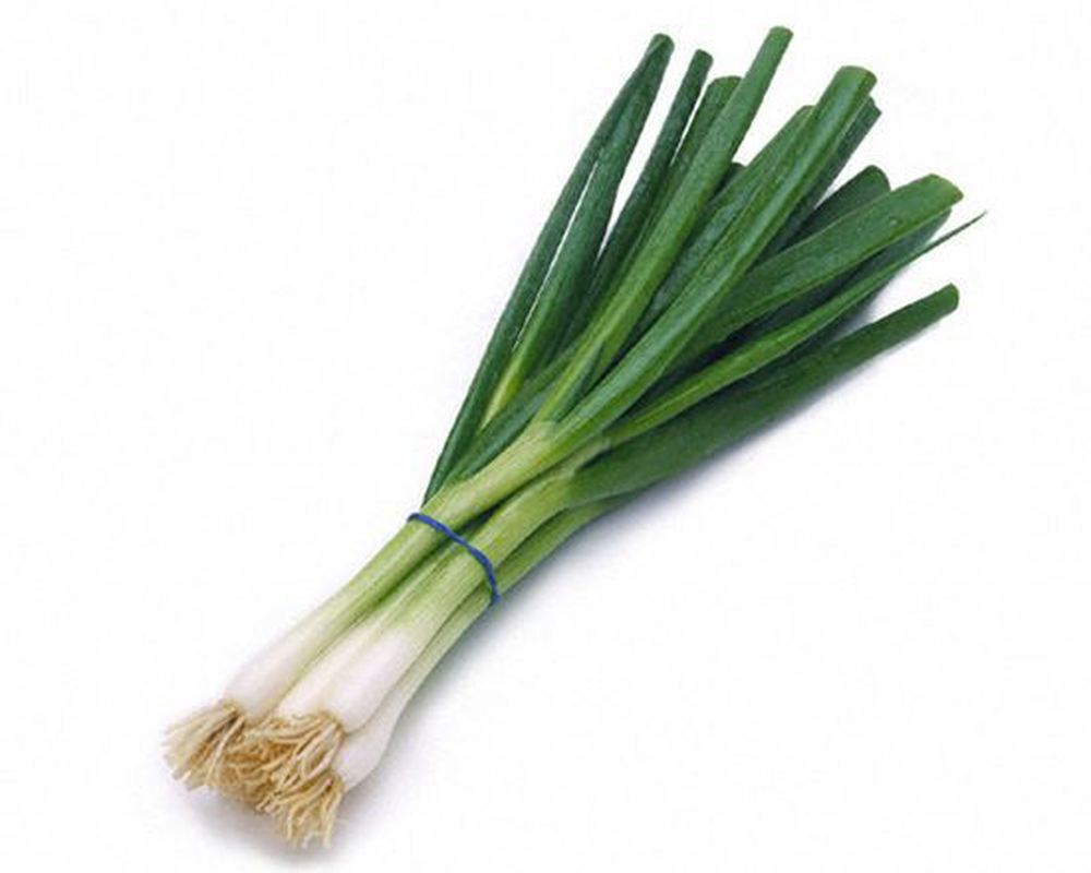 Onion: Shallot Green