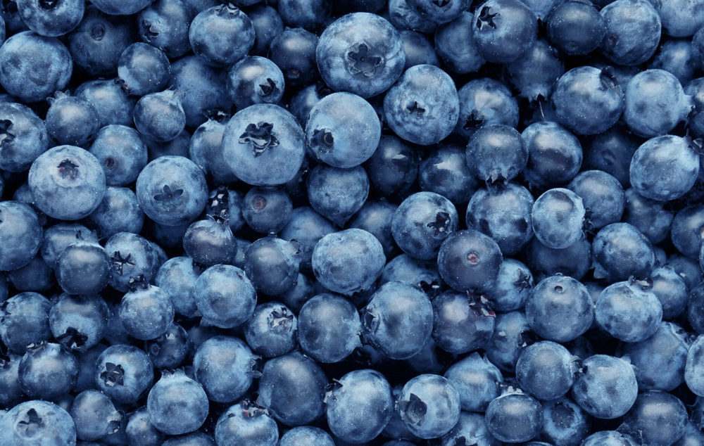 Blueberries - Punnet 125g
