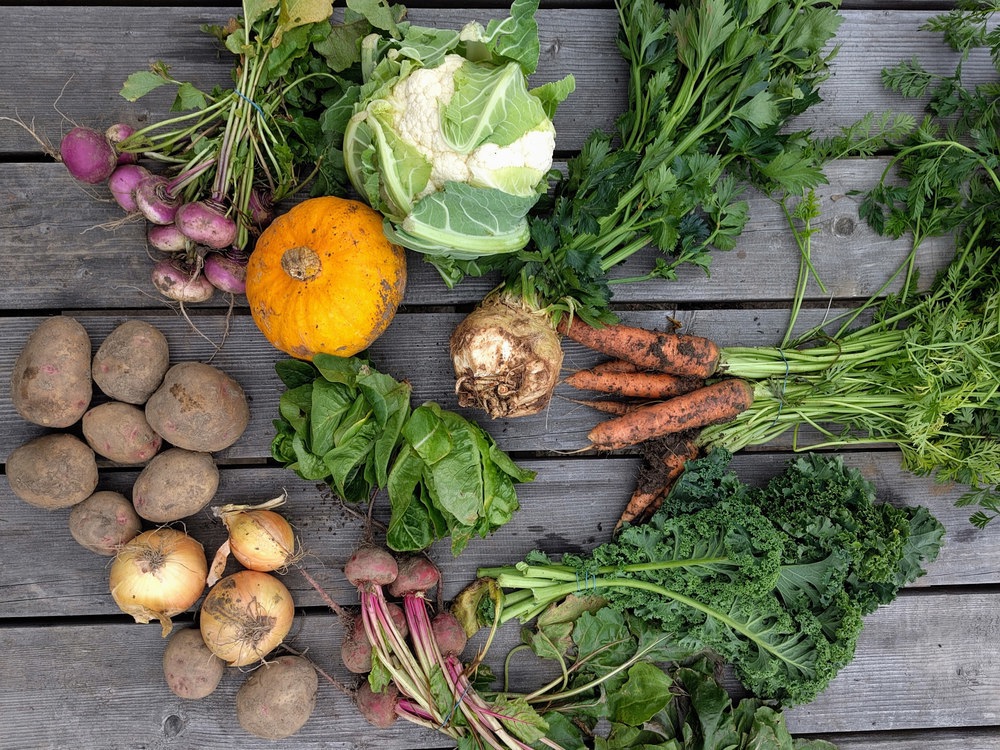 Veg Box - Extra Large