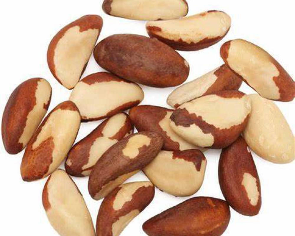 Cnau Brasil wedi’u haneru/Brazil Nut Halves 100g