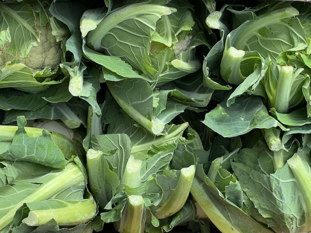 Cauliflower - Organic British