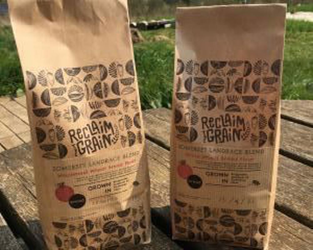 Flour - YQ White Bread Flour - Organic (1 kg bag)