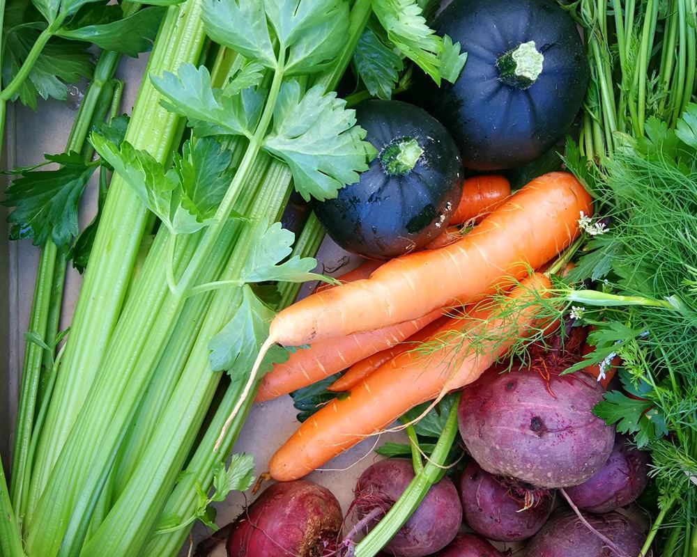 Small Veg Box