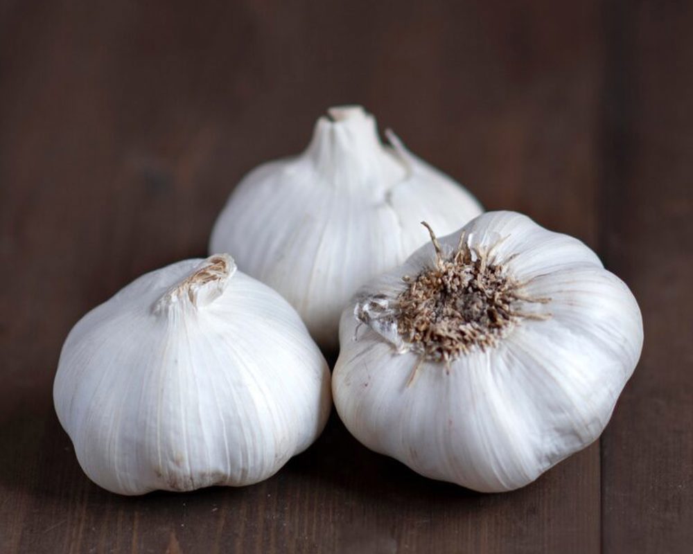 Garlic - 5 Bulbs