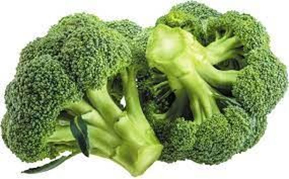 Broccoli Calabrese (head)