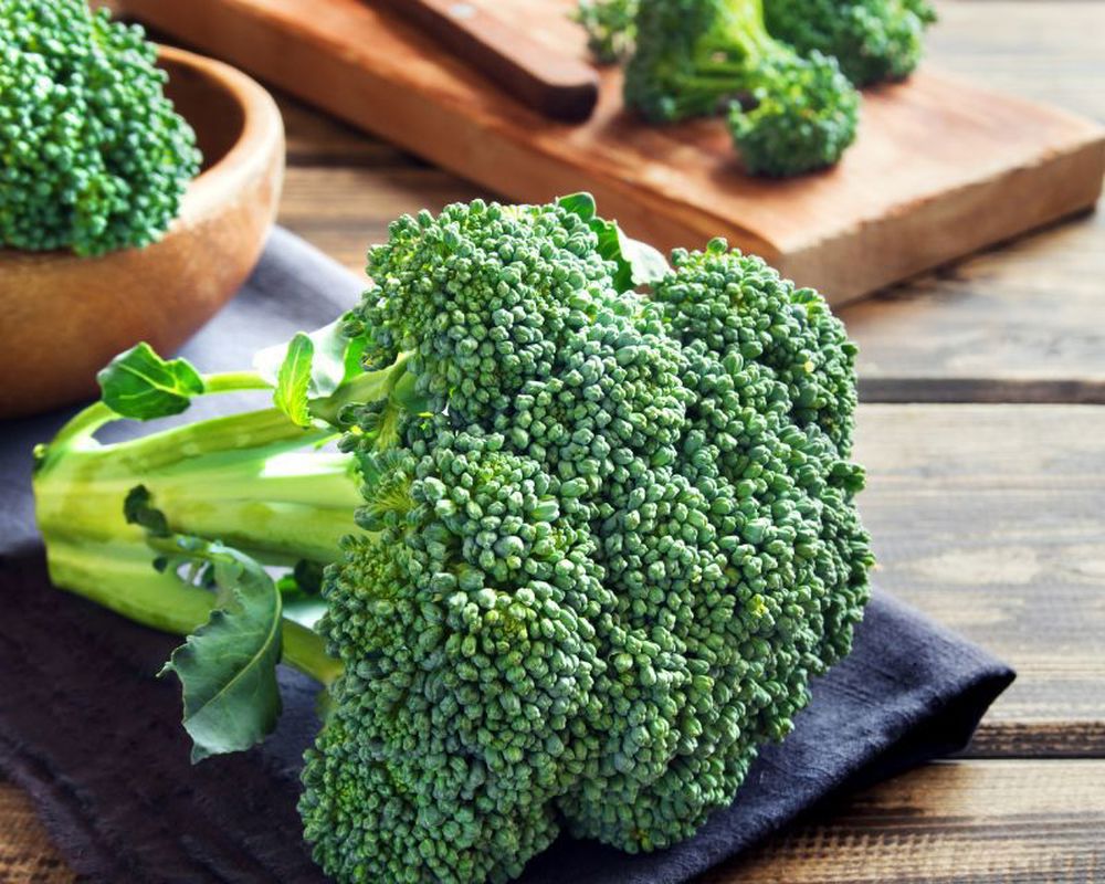 Broccoli Calabrese (head)