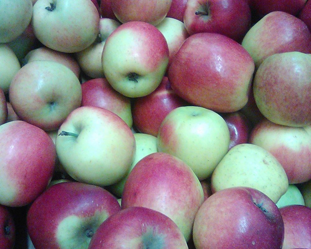 Apples, dessert - 2kg