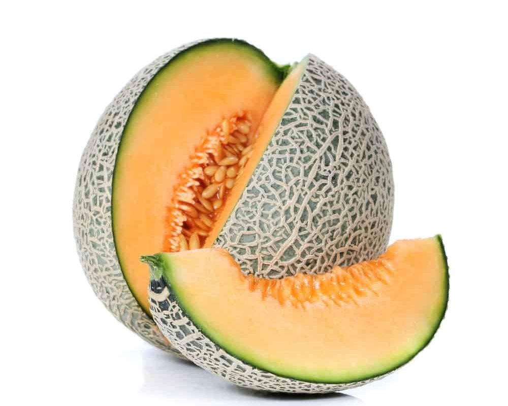 Melon Cantaloupe