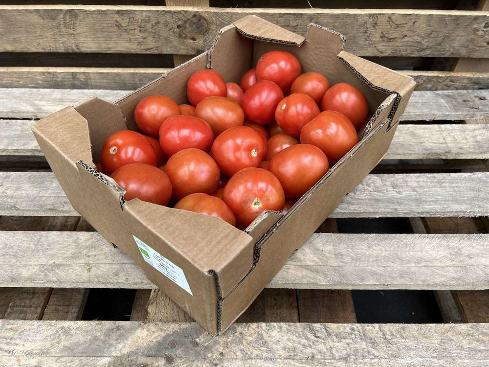 Organic Tomato Plum