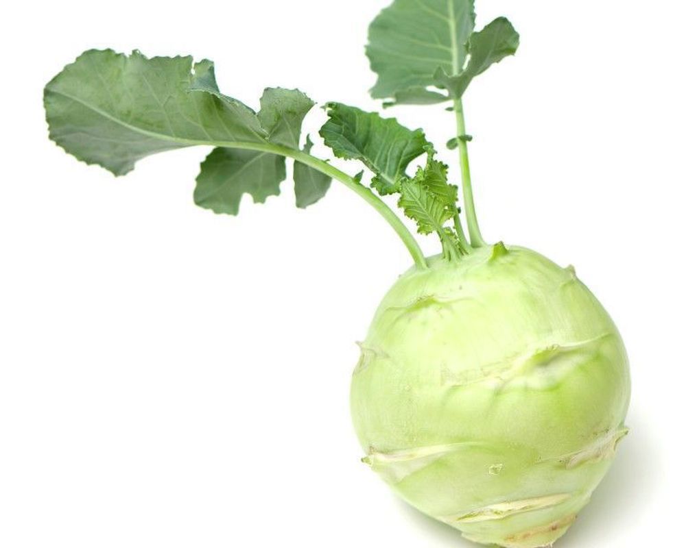 Organic Kohl Rabi
