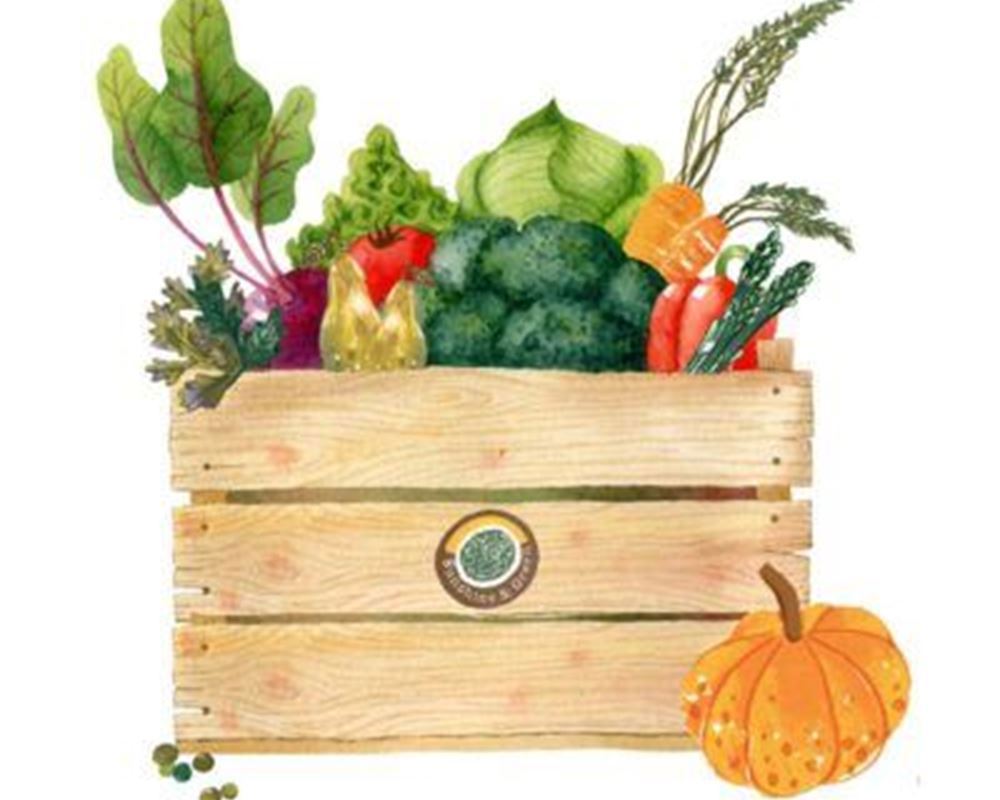 Large Veggie Box