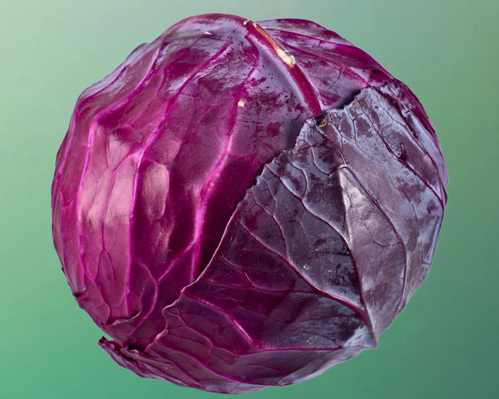 Cabbage (Red)
