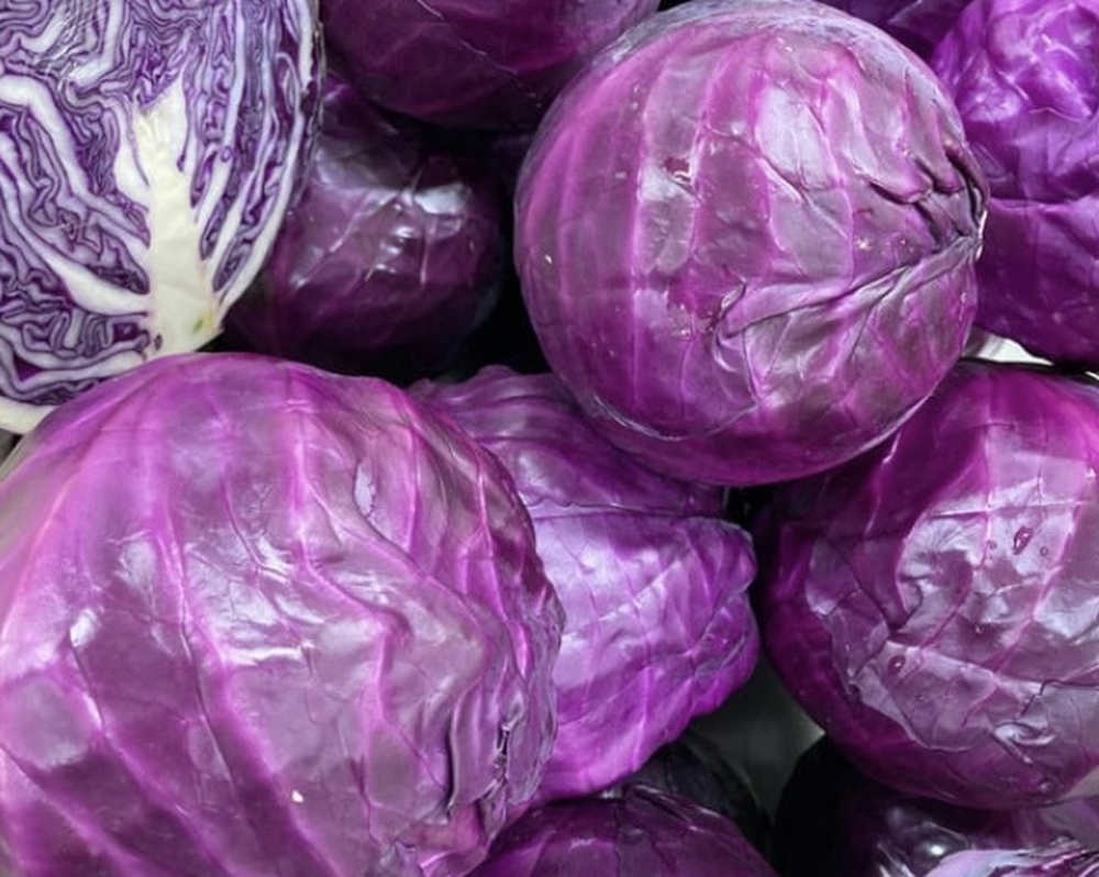Cabbage - Red