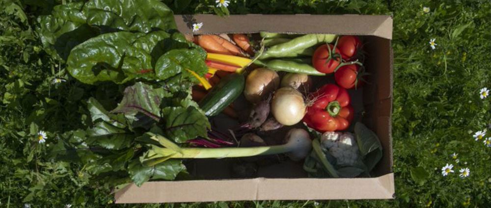 veg box FAMILIAR FAVOURITES