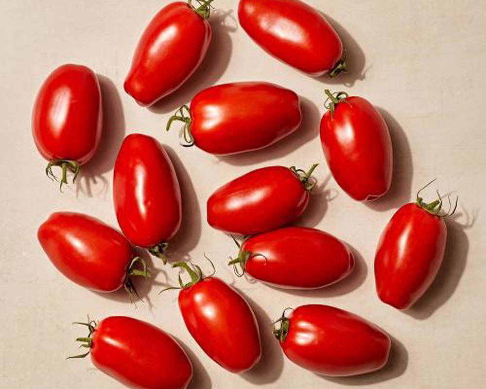 vTomatoes Cherry Plum IOW