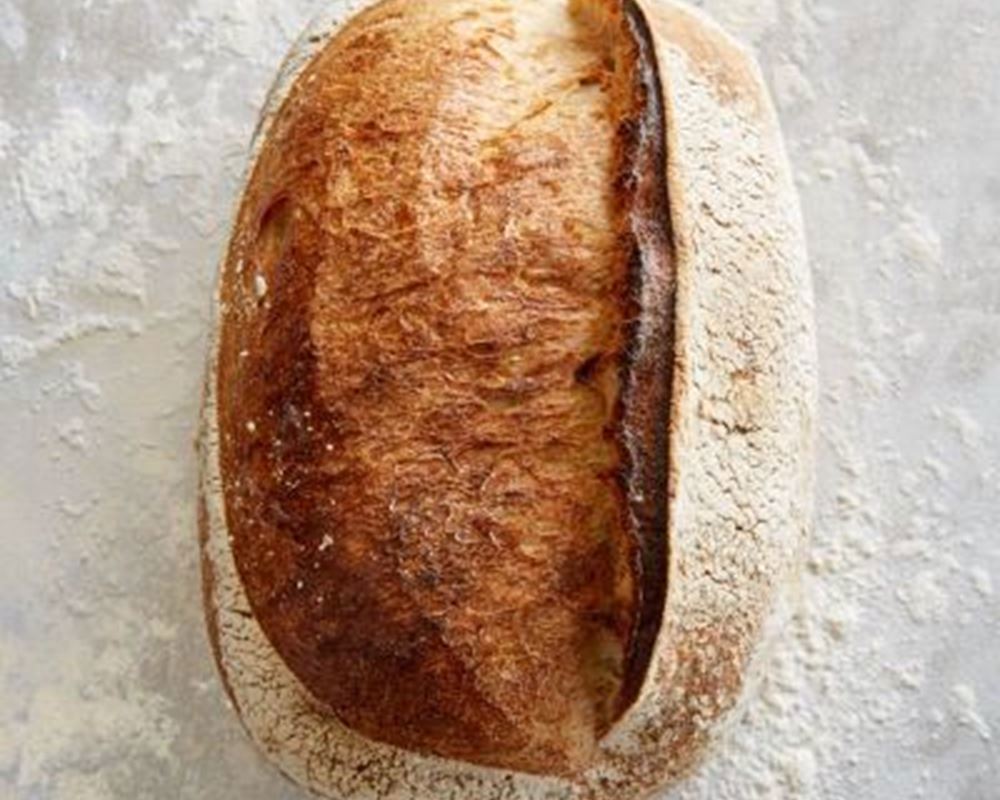 Freedom Bakery Small White Sourdough