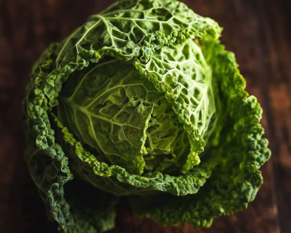 Savoy cabbage (Devon)