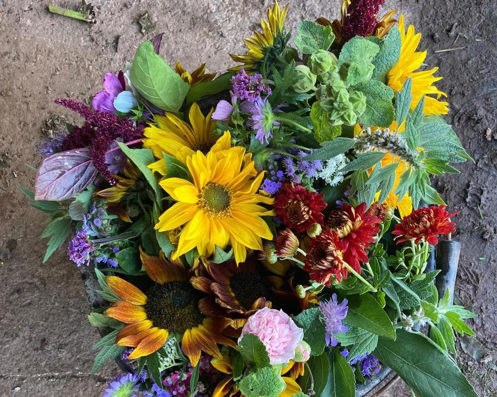 Seasonal cut flowers