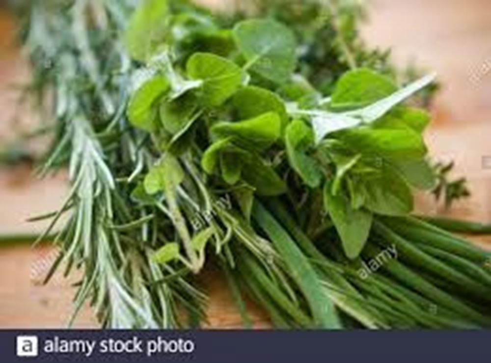 Herbs - Seasonal Mixed