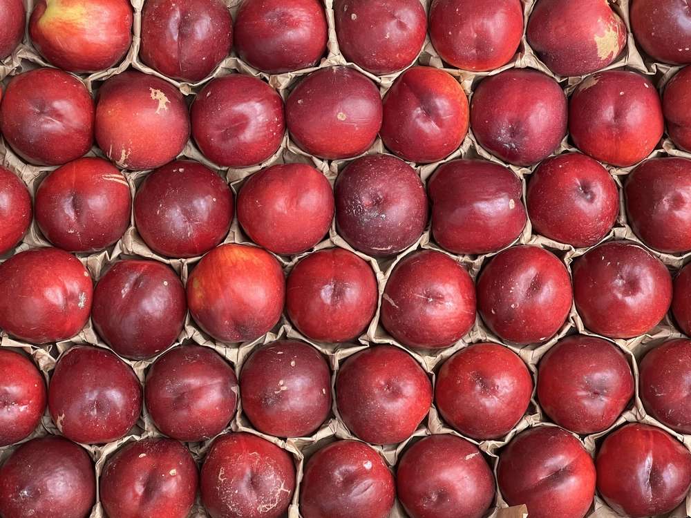 Nectarines (Spain)