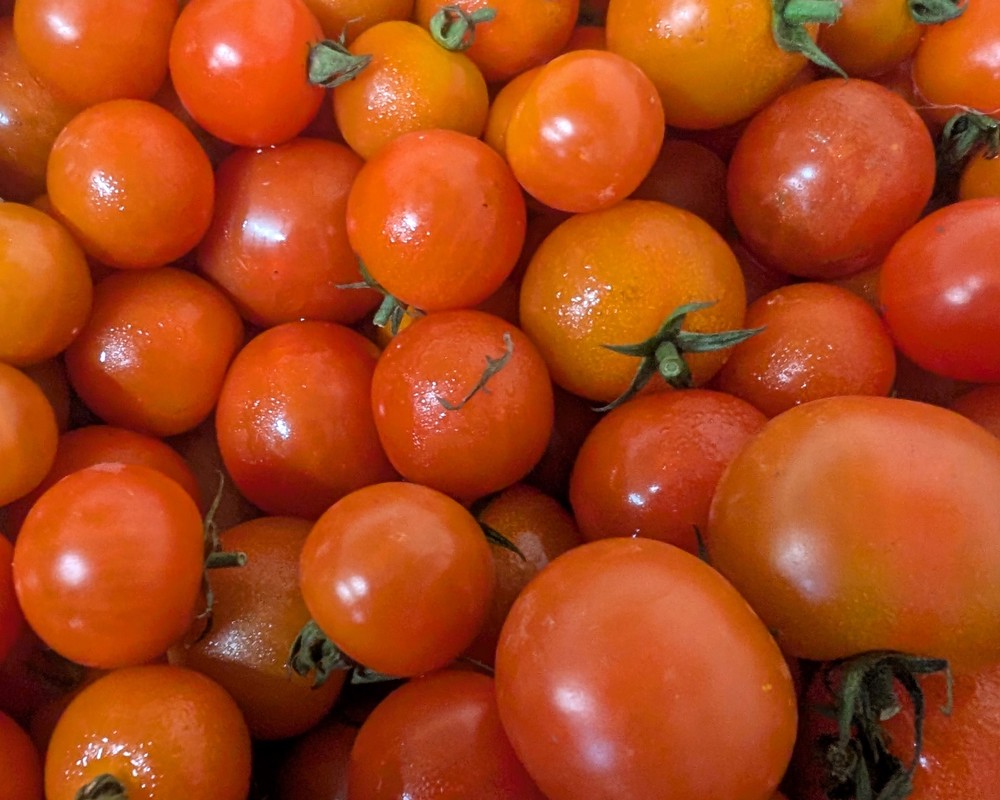 Tomatoes Cherry (250g) (Own Grown)