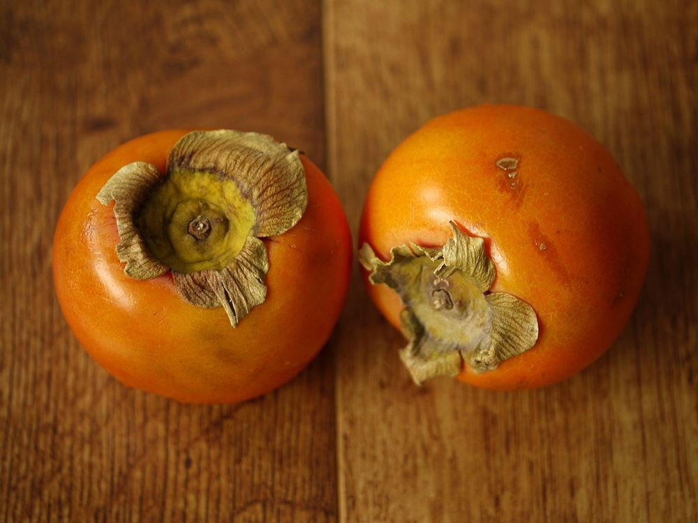 Persimmon