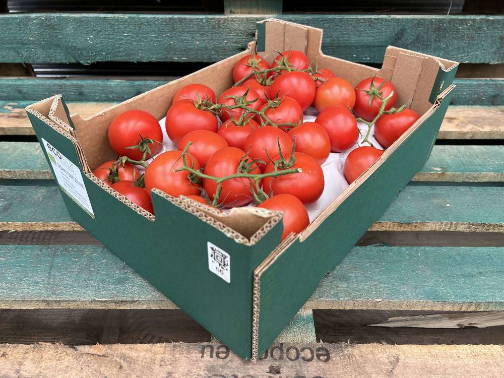 Organic Tomato Vine