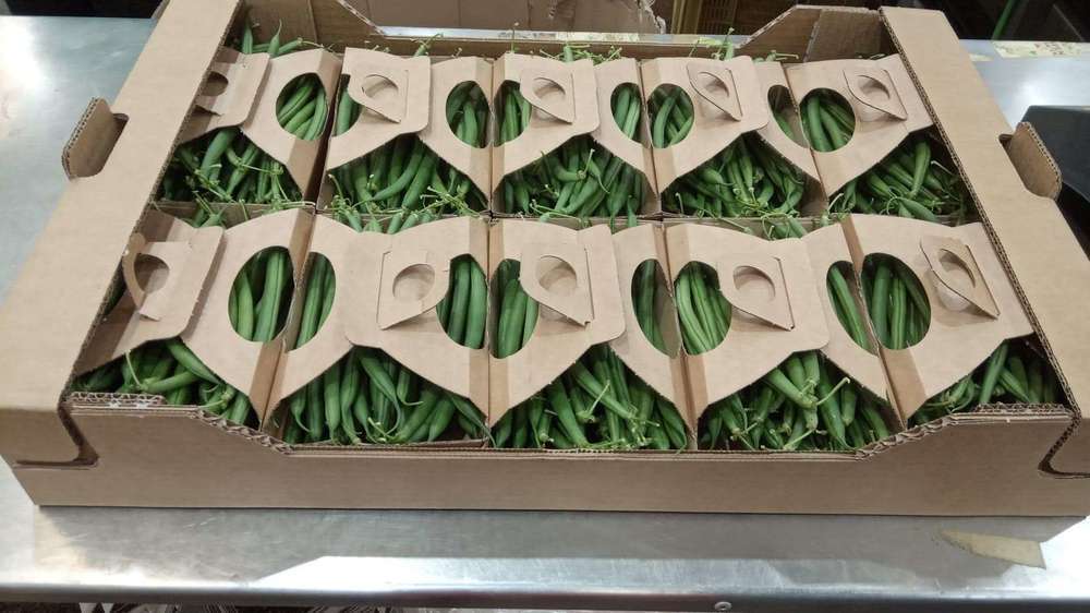 Beans - Organic French punnet