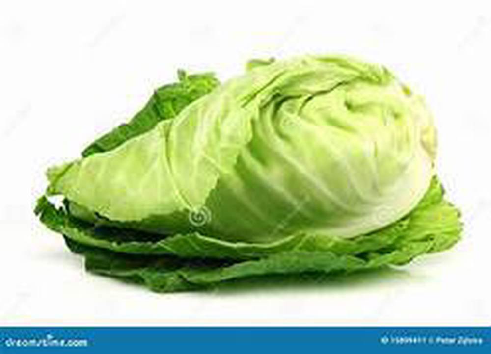 Cabbage - Pointed
