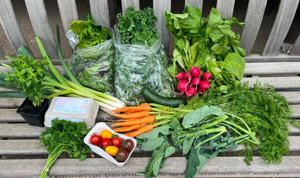Large Veg Bag