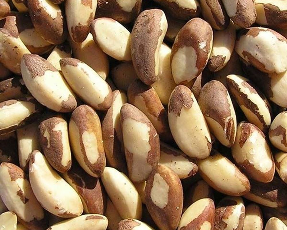Brazil Nut Organic - HG